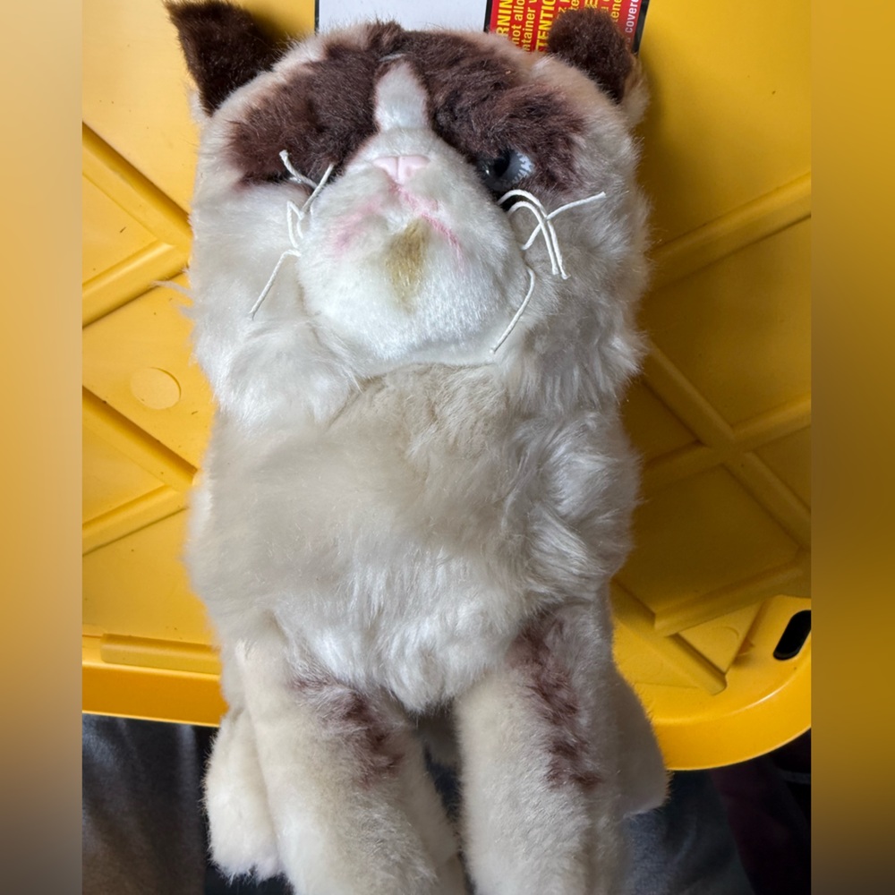 Gund Grumpy Cat Plush in Cream and Brown